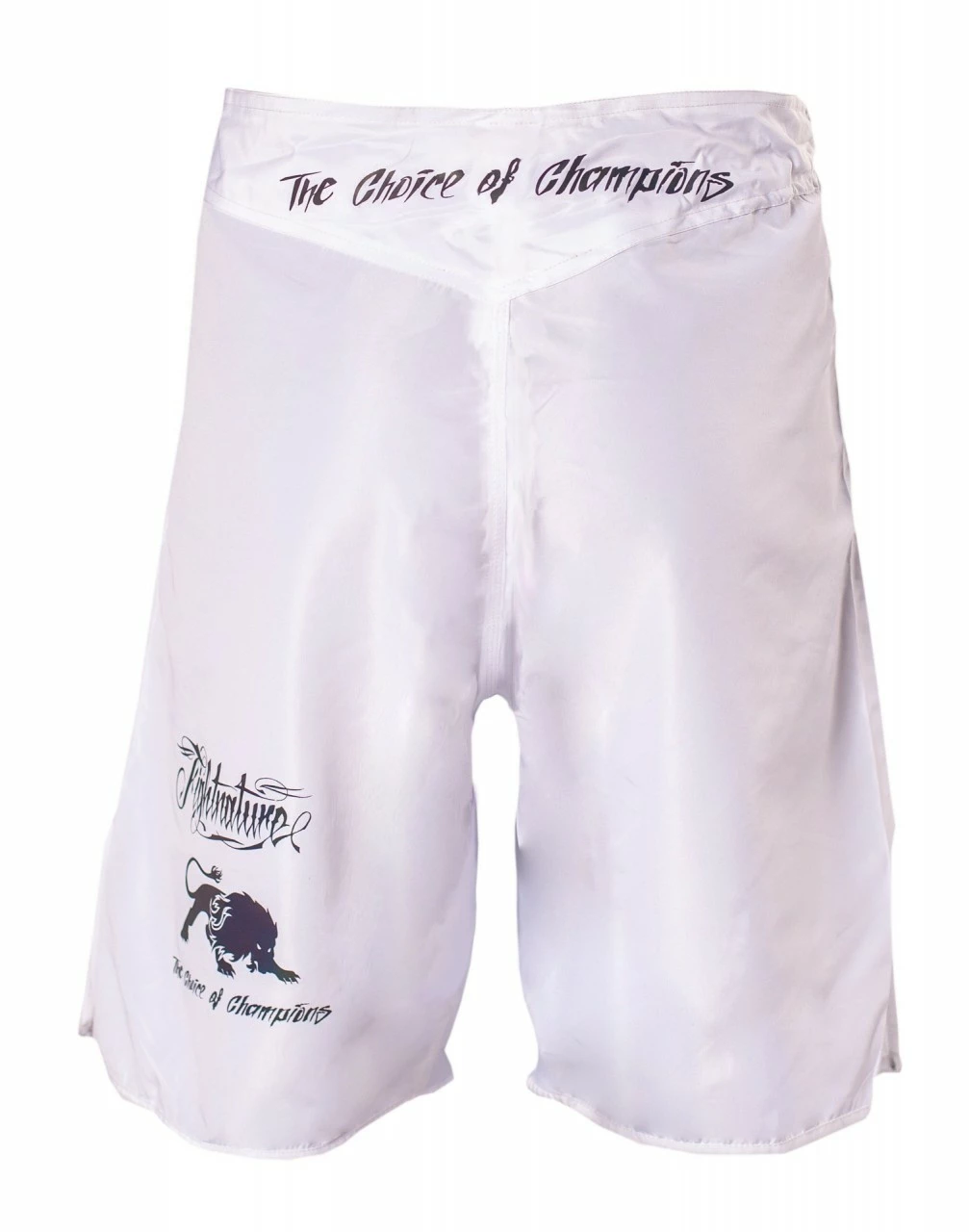 FIGHTNATURE MMA Shorts Reflektierender Druck – Bild 3