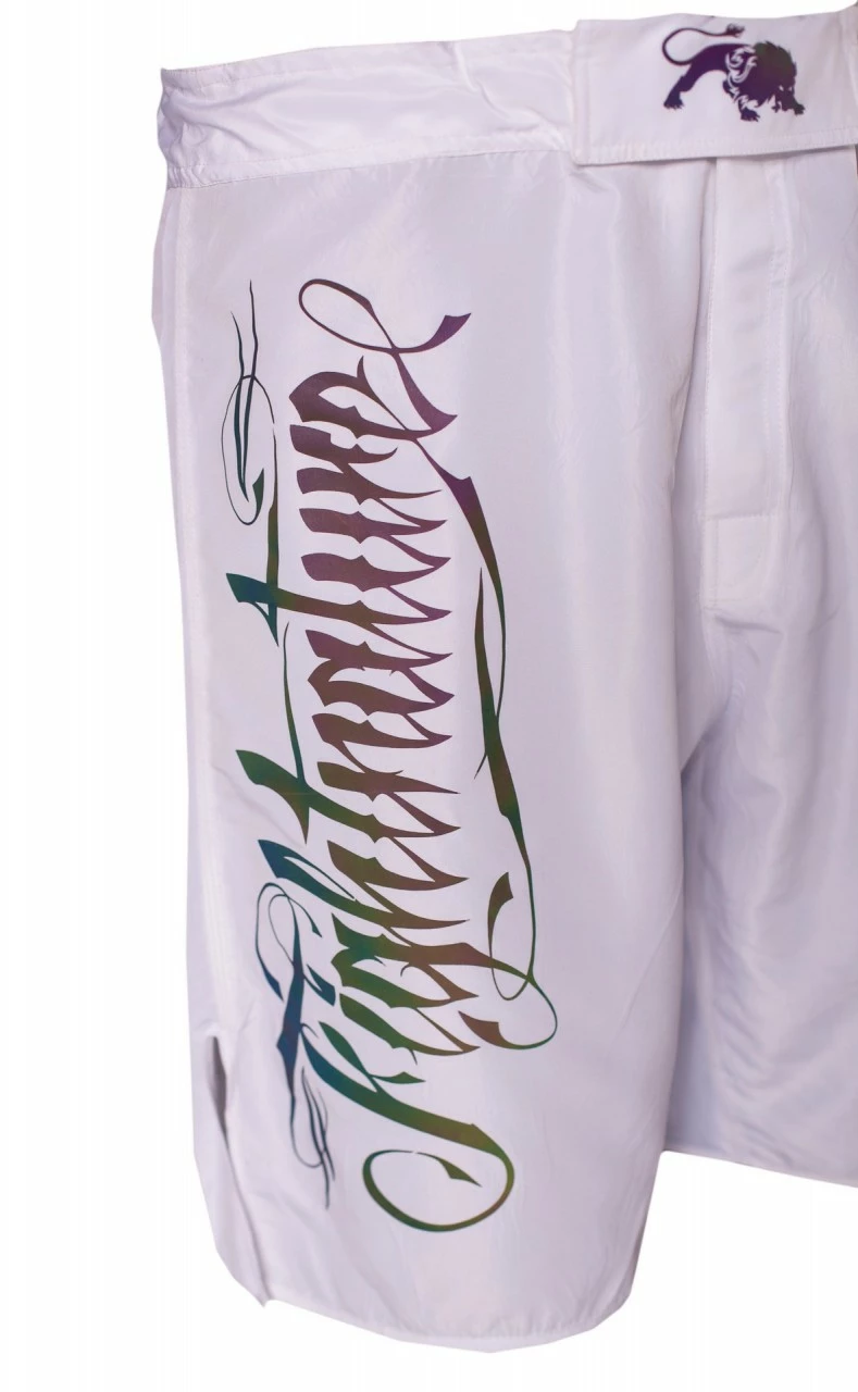 FIGHTNATURE MMA Shorts Reflektierender Druck – Bild 4