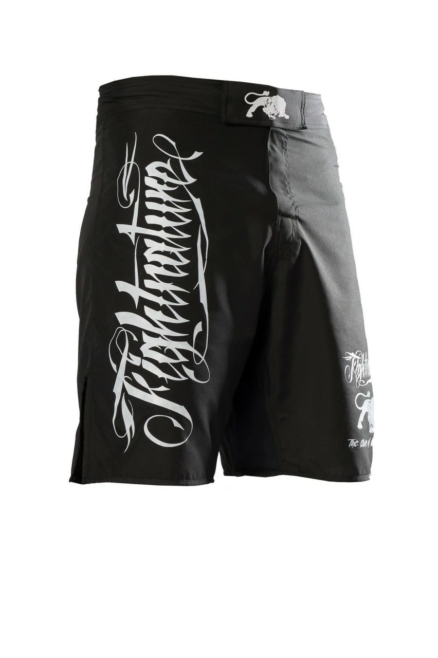FIGHTNATURE MMA Shorts Schwarz – Bild 2