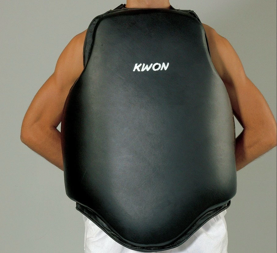 Bauchschild Repulse – Bild 2