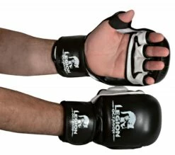 LEGION OCTAGON MMA Handschuhe Training