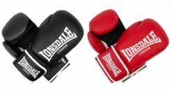 LONSDALE Boxhandschuhe ASHDON